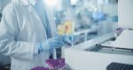 La Sociedad Española de Medicina de Laboratorio avisa: el filtrado glomerular en casos con insuficiencia renal aguda no es fiable